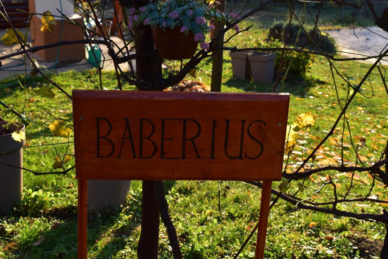 Baberius Villa Eksteriør bilde